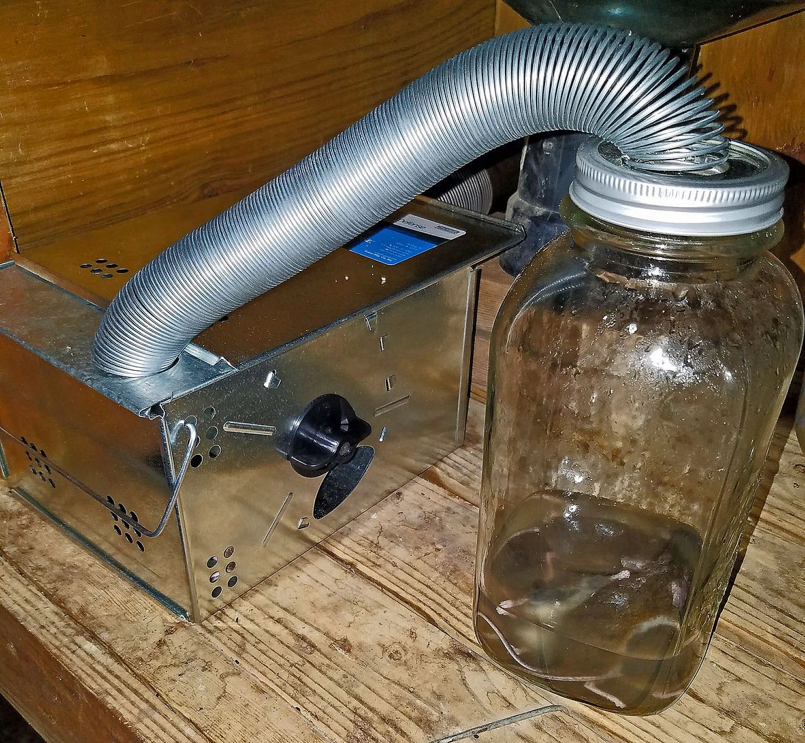 Why do mice like John Deere wires? Green Tractor Talk